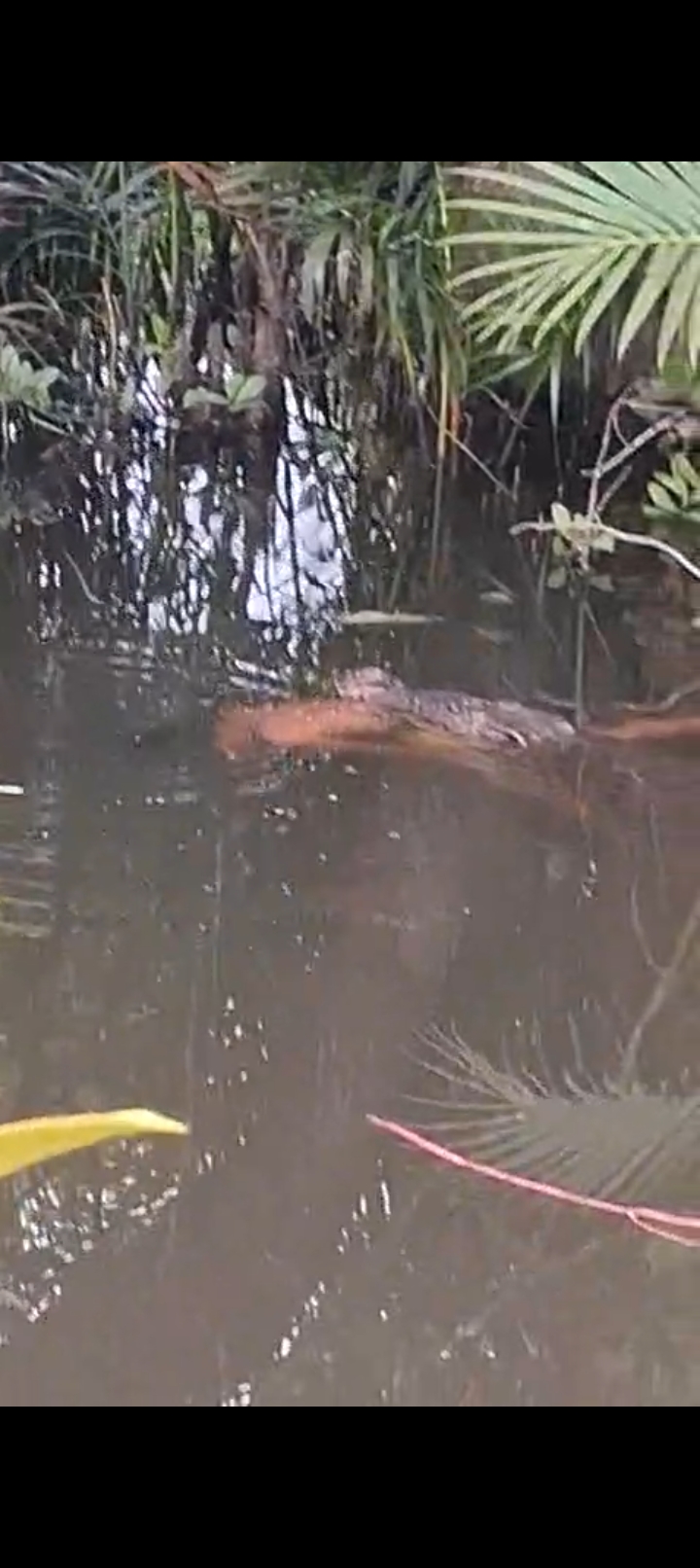 Screenshot_20251216_190355